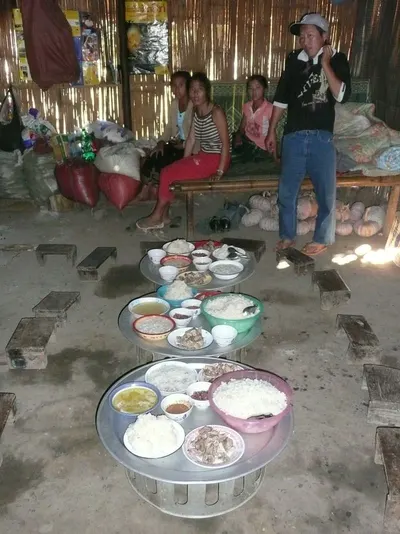 Hattung Sayhouse Science