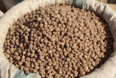 Bentonite Cat Litter