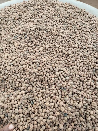 White Pepper