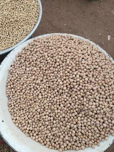 Agro Product- Soyabean