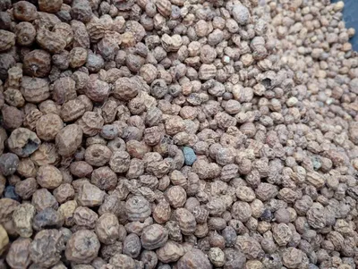 White Pepper 630gr/l Double Washed
