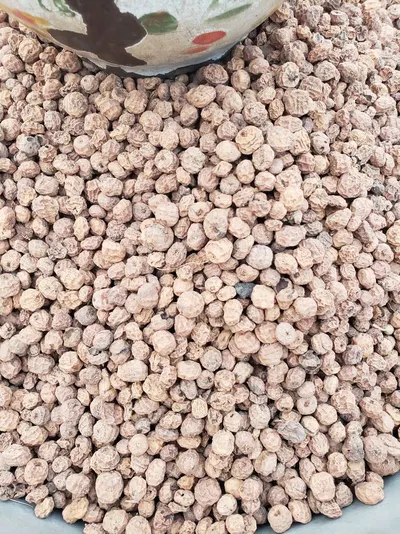 White Pepper Double Washed Vietnam