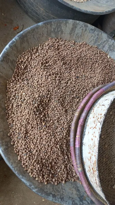 Roasted Buckwheat Groats Brown