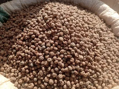 Private Label Bentonite Cat Litter