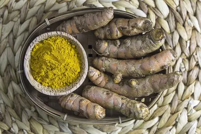Curcuma Zanthorrhiza Dryed Or Powder