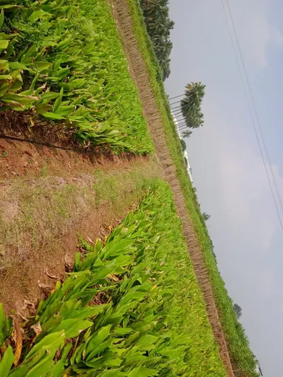 Agro biotech by Chandra Prabhu International Limited