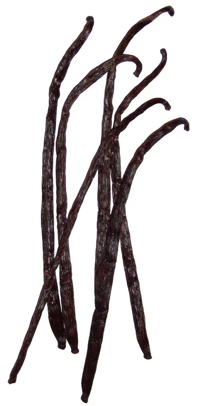 Mangrove A1 Charcoal