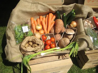 Organic farm produce by Atoz Trading