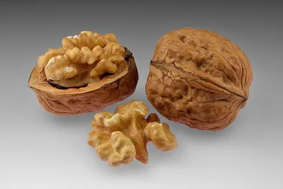 Raw Walnut