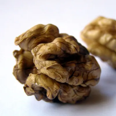 Quality Walnut Kernels by Soupin Jean Stephane