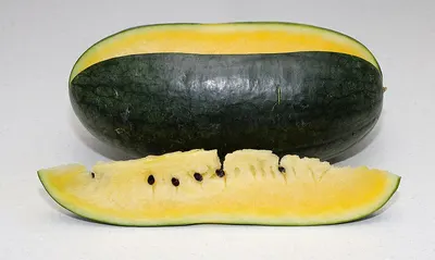 Muskmelon-Honey (Hybrid) by Book My Crop.