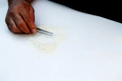 Organic White Rice