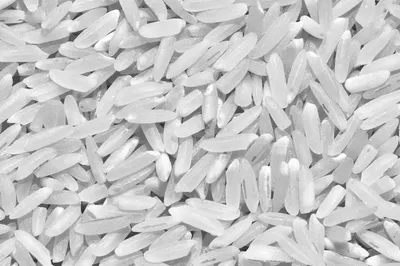 Best IR504 White Rice from Vietnam by Vngate Company Limited