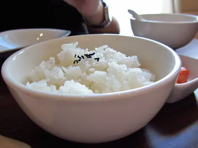 Japonica sticky rice