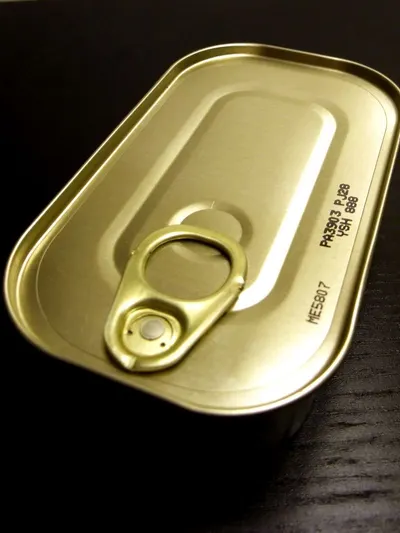 Stainless Steel Kidney Tray