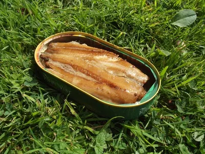 Canned Fish