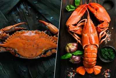 crab, lobster, strimps