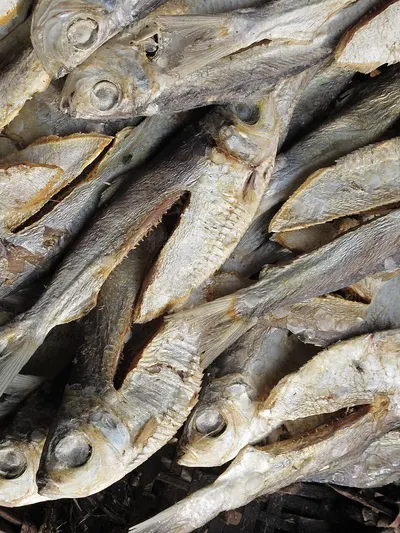 DRIED FISH SKIN