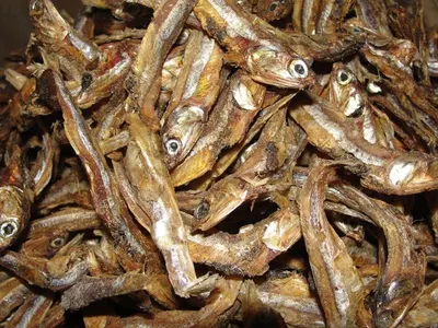 Anchovy Fishmeal
