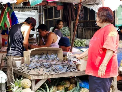 Raw Fish Scale