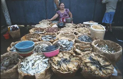 Dried fish maws