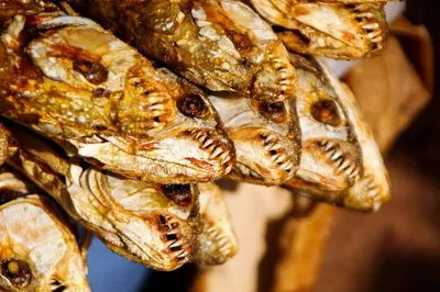 Smoked Catfish - Image 2