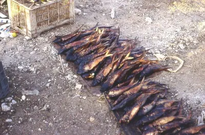Smoked Catfish