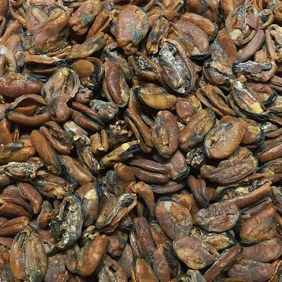Organic Roasted Cacao Nibs