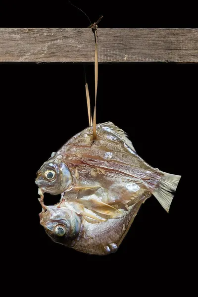 Wooden Fish by 99 Gold Data Processing Trading Company Limited