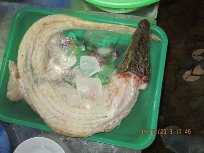 salak pondoh