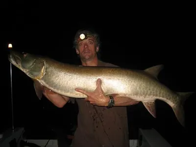 Srilanka marine fish