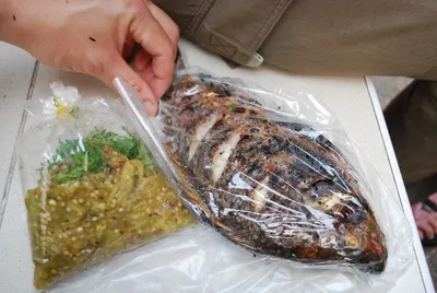 Mahi Mahi Whole by Eseafood Exports