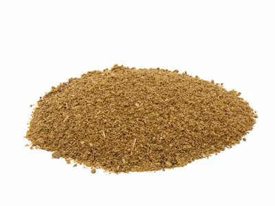 Toasted Sacha Inchi by Namaskar SAC