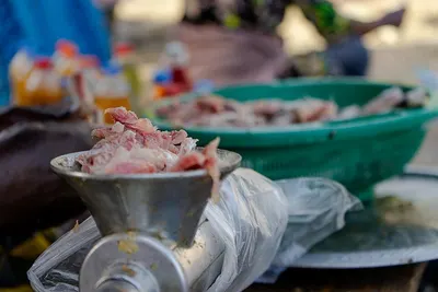 Meat Grinder