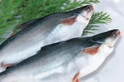 Seabass