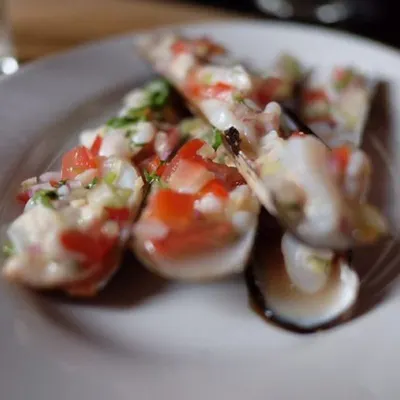 Surf Clam