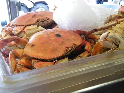 Crabs by Reva Fisheries