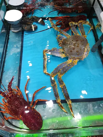 Frozen swimming crab