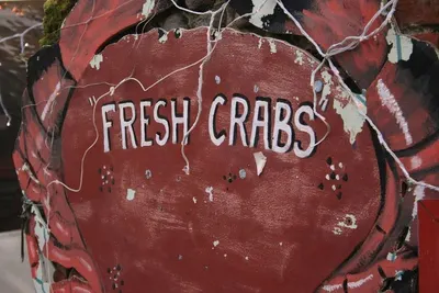 frozen crabs