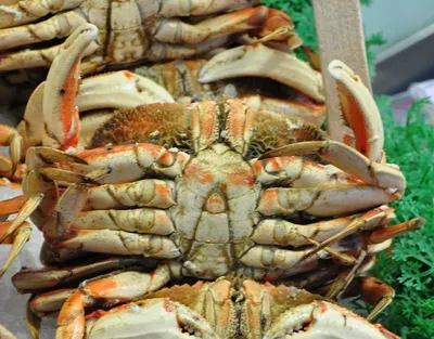 Crabs by Jmj Exports