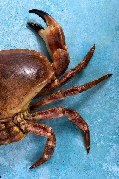 Frozen Blue Swimming Crab