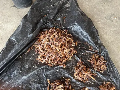 Mulch film