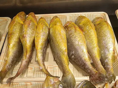 Yellow Croaker Whole Round