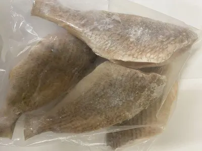 Plaice fillets