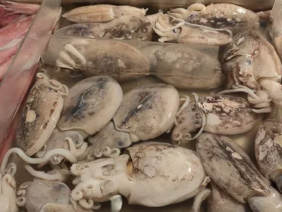 Brine mushroom