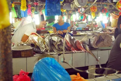 Fresh Water Eel (sidat)