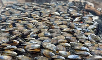 Smoked mussels