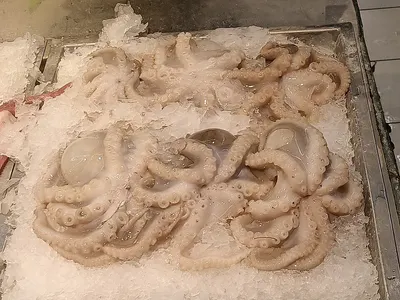 Frozen Cutting Baby Octopus -Flower