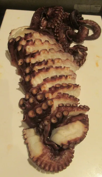 Cuttle Fish Bone