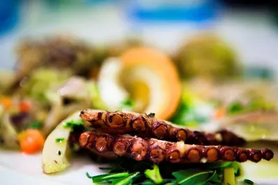 Octopus